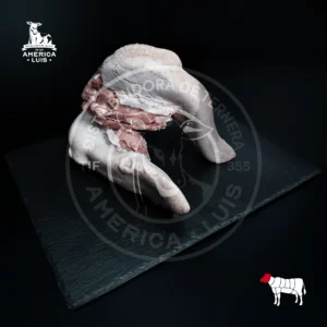 LENGUA PRECOSIDA (RES)